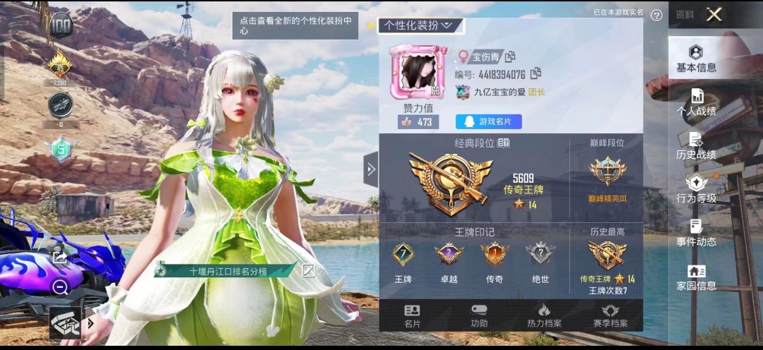 和平精英陪玩服务