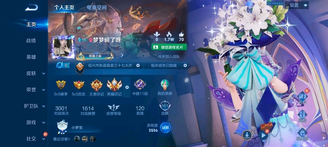 王者荣耀陪玩服务