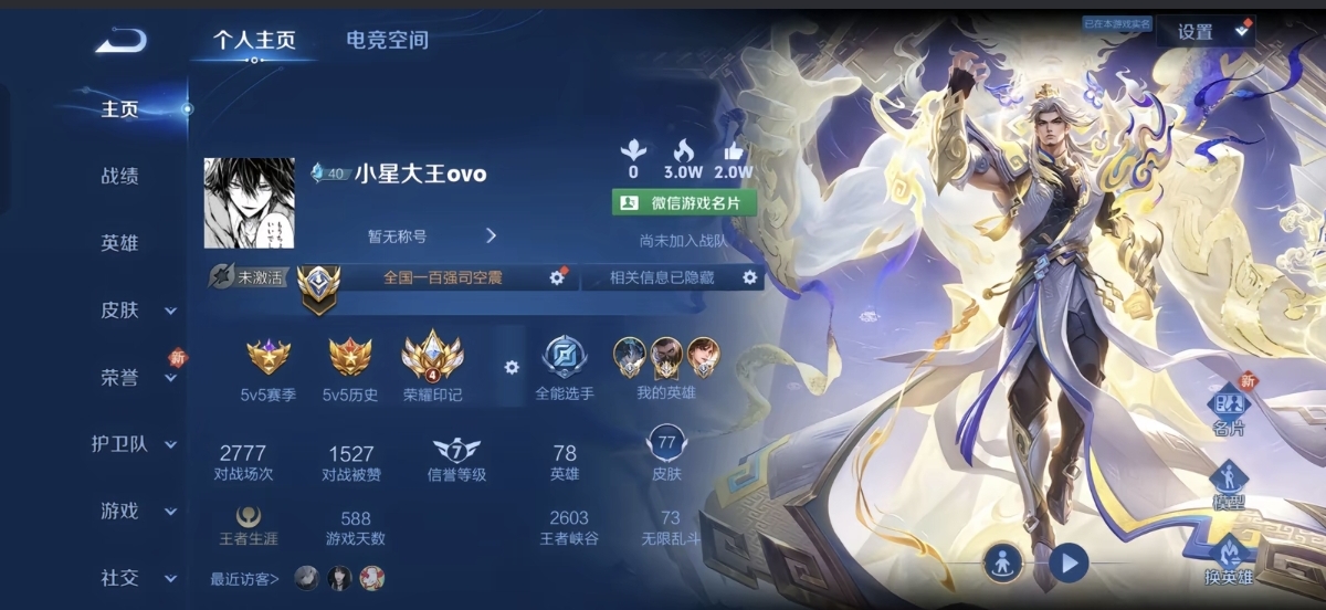 王者荣耀陪玩服务
