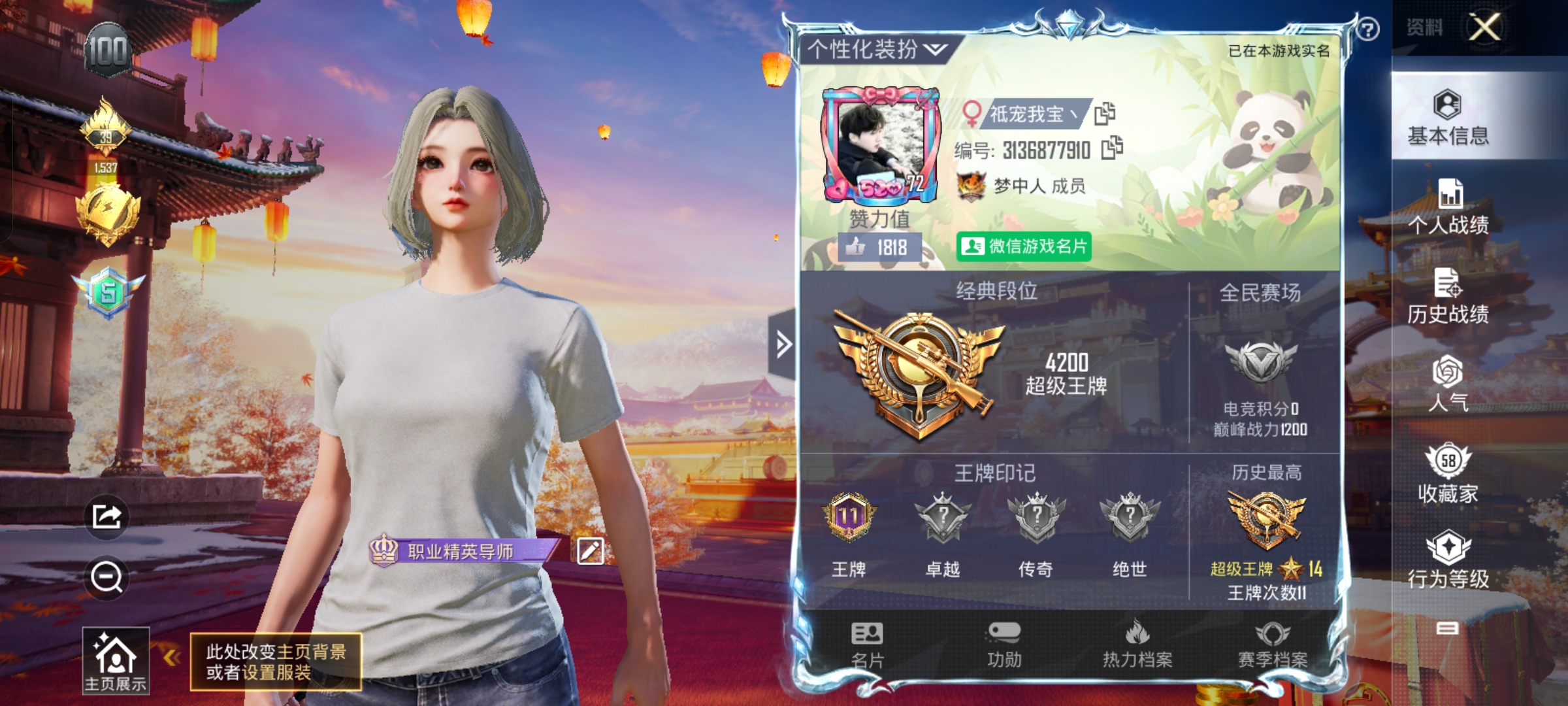 和平精英陪玩服务