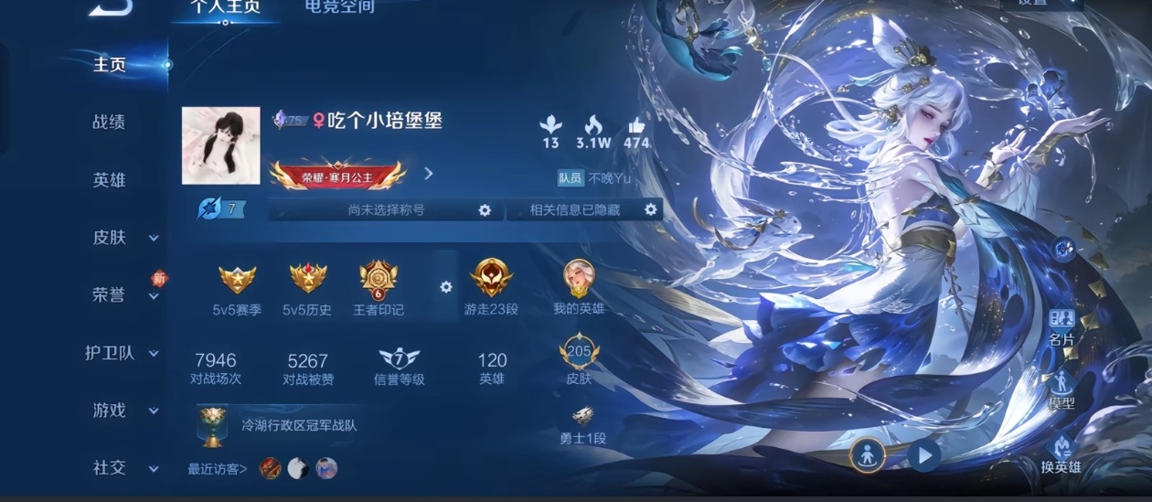 王者荣耀陪玩服务