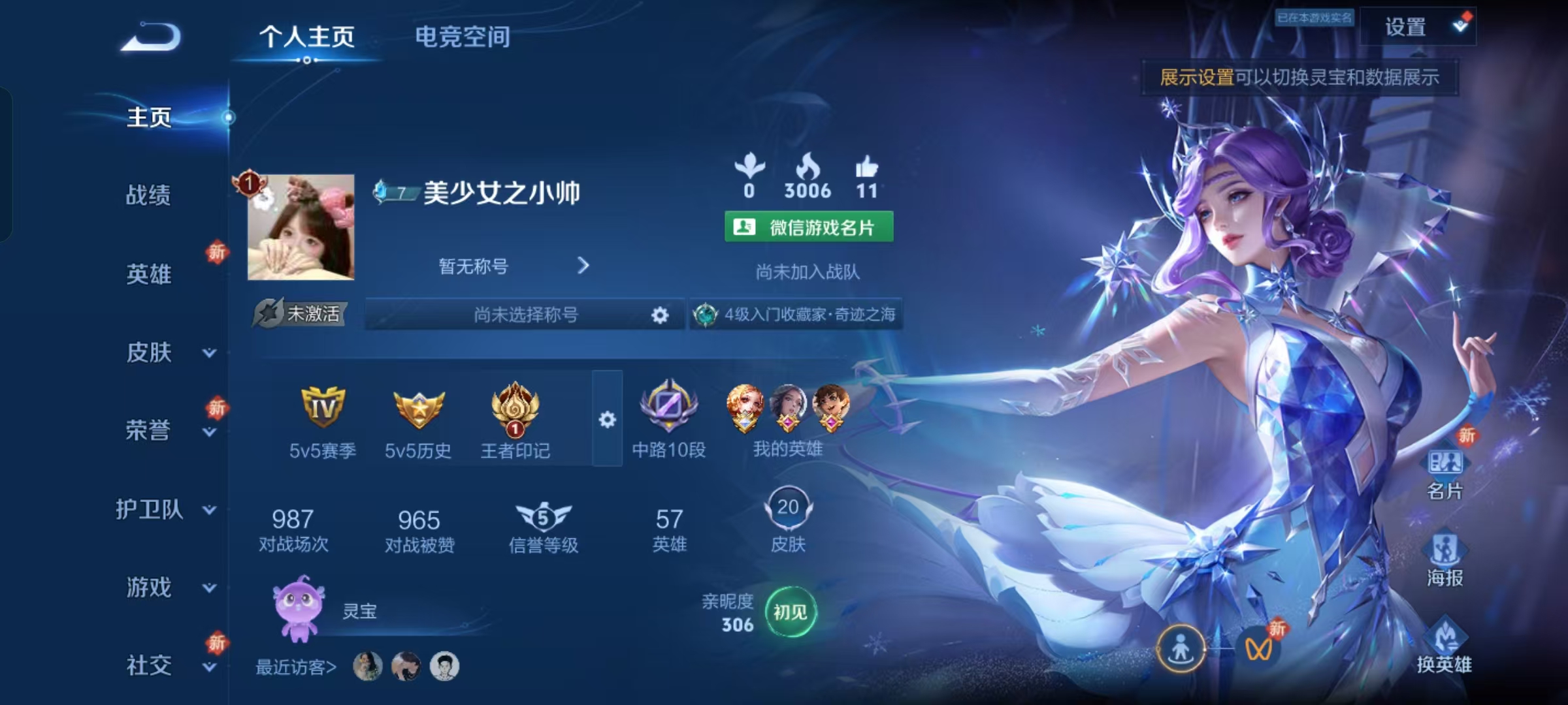 王者荣耀陪玩服务