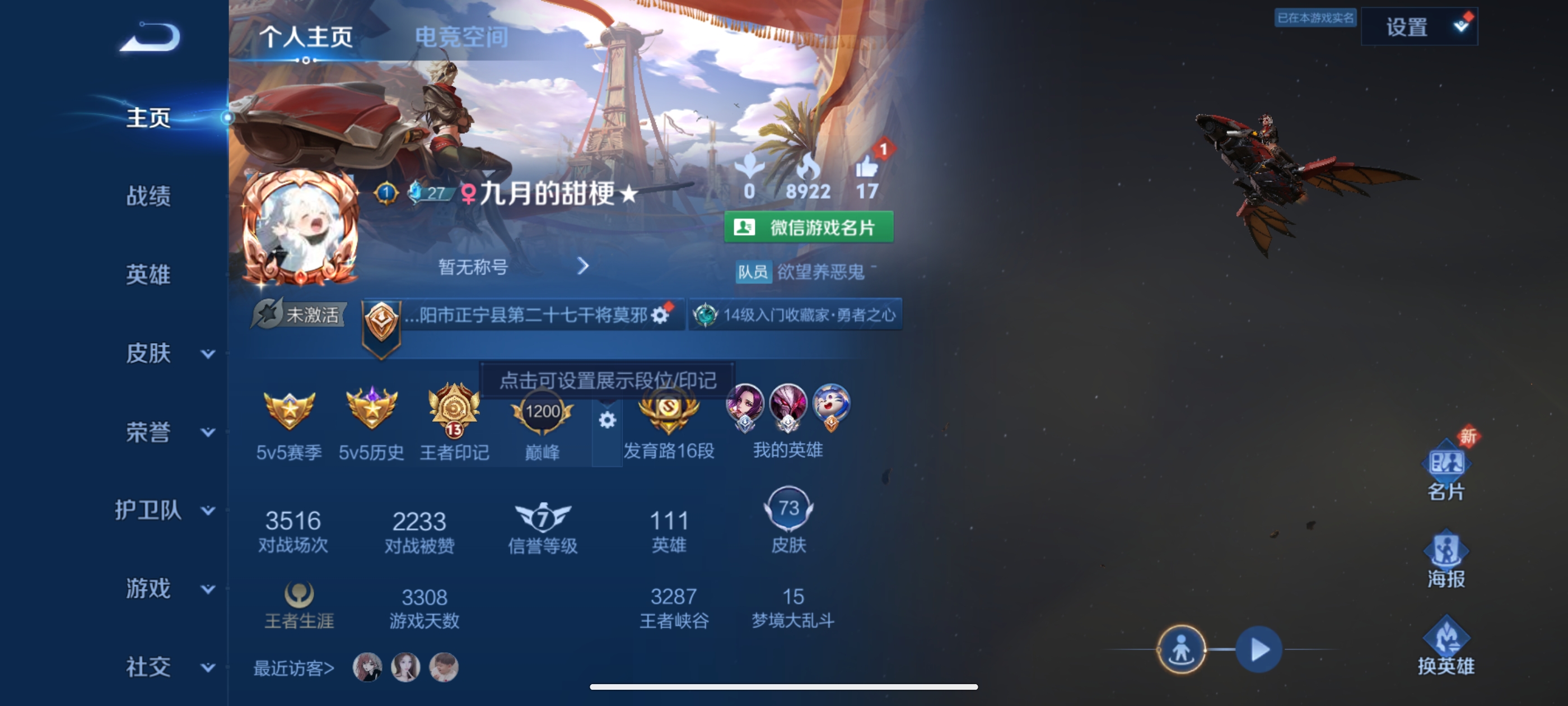 王者荣耀陪玩服务