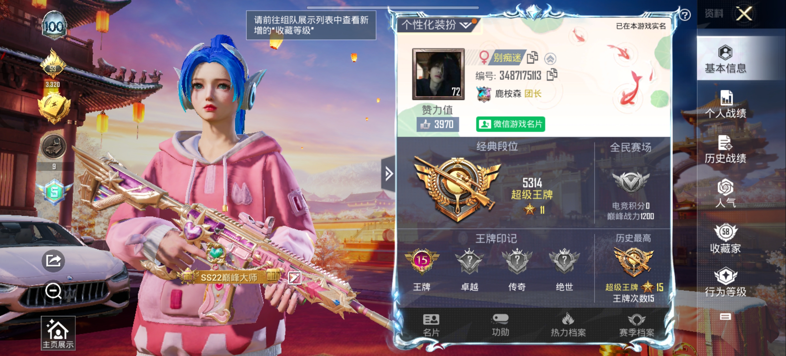 和平精英陪玩服务