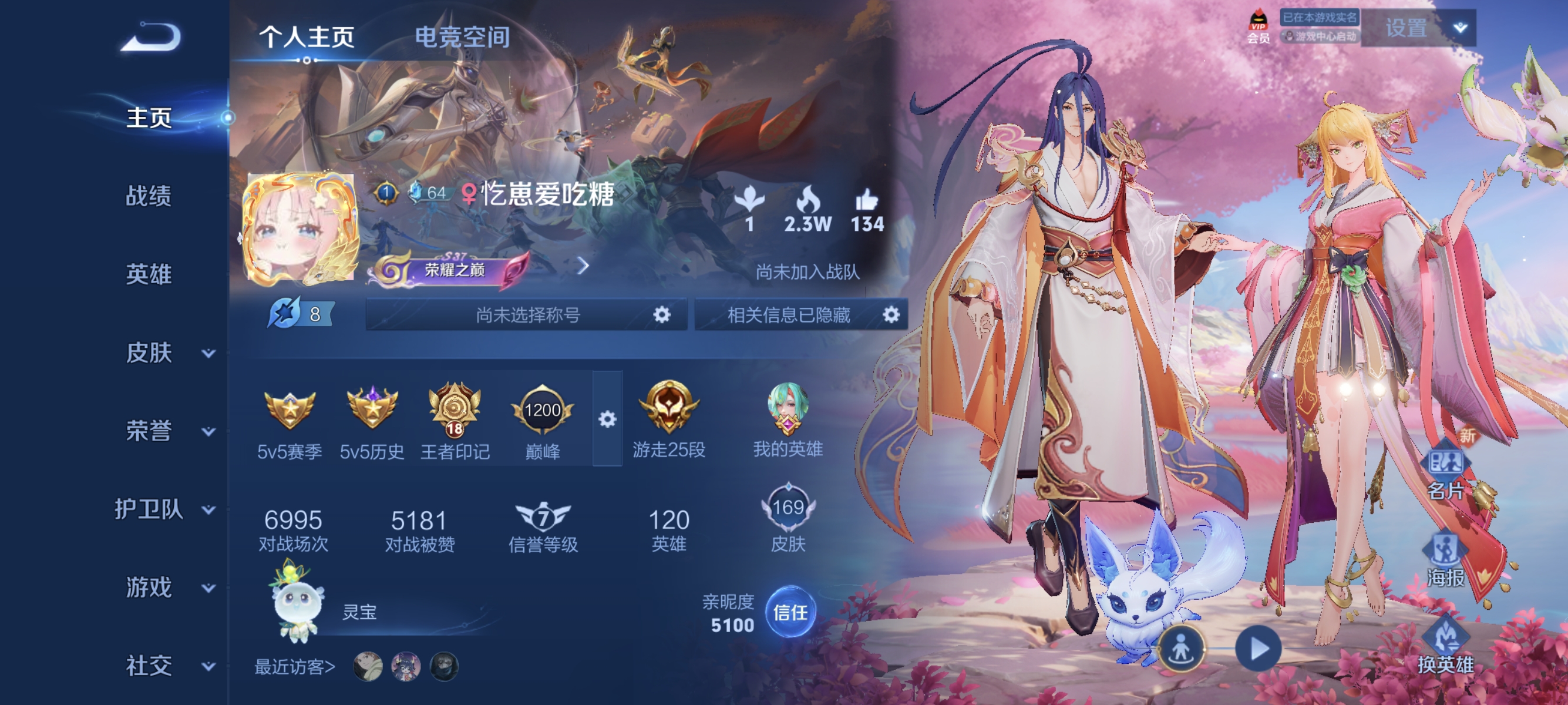 王者荣耀陪玩服务