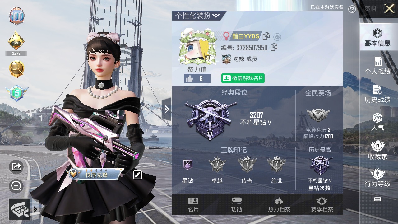 和平精英陪玩服务