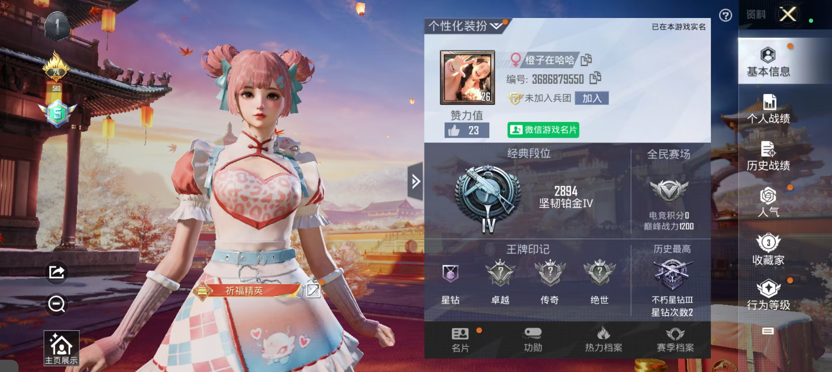 和平精英陪玩服务