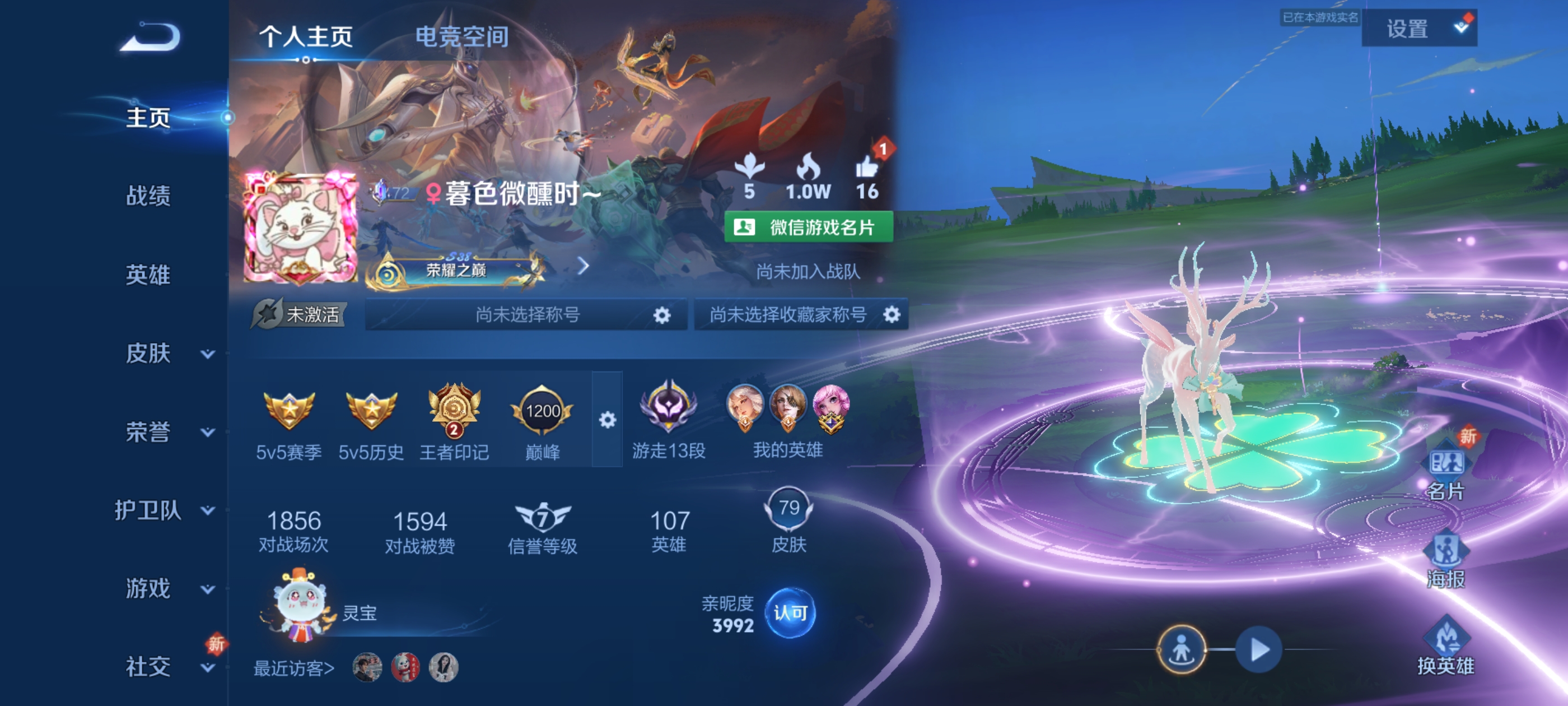 王者荣耀陪玩服务