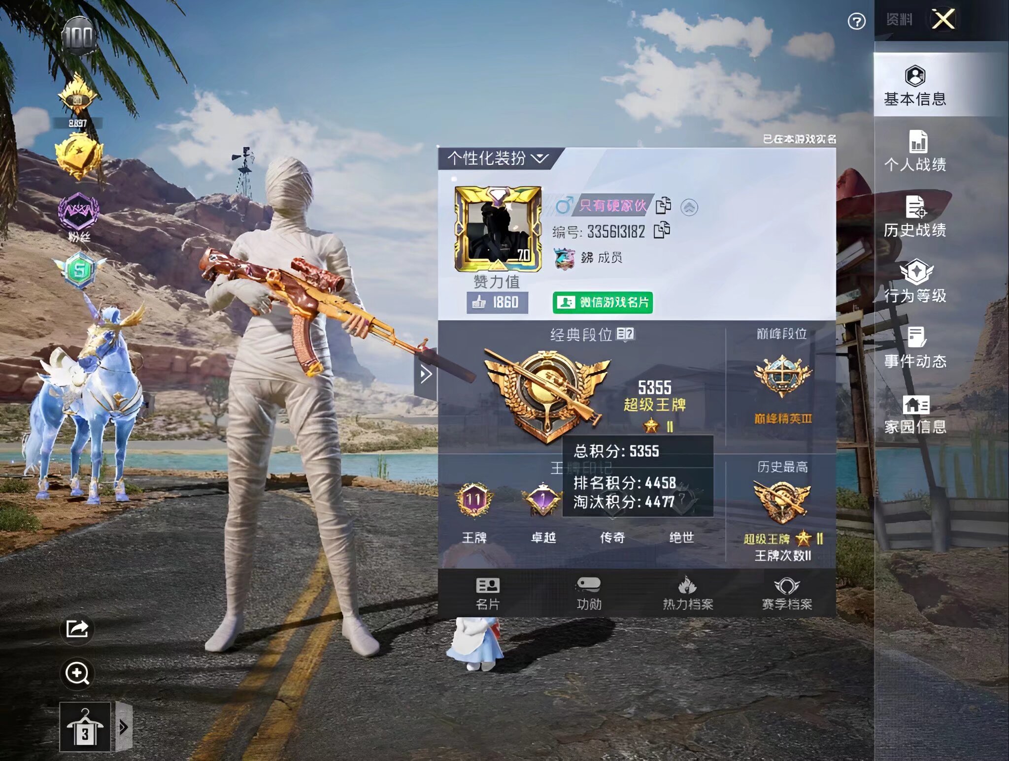 和平精英陪玩服务