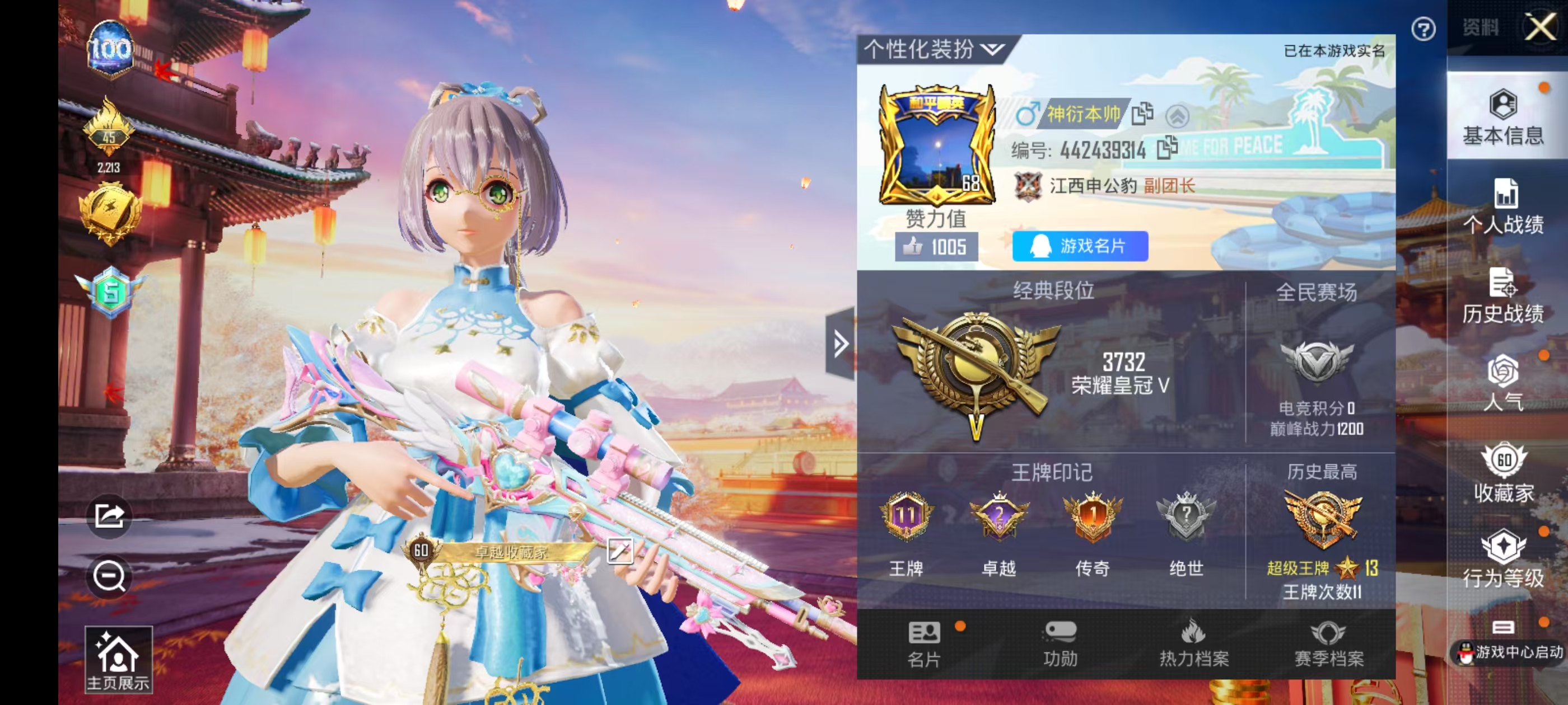 和平精英陪玩服务