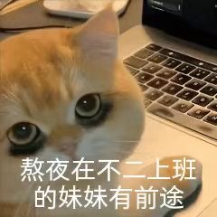 陪玩妹子小加的照片2