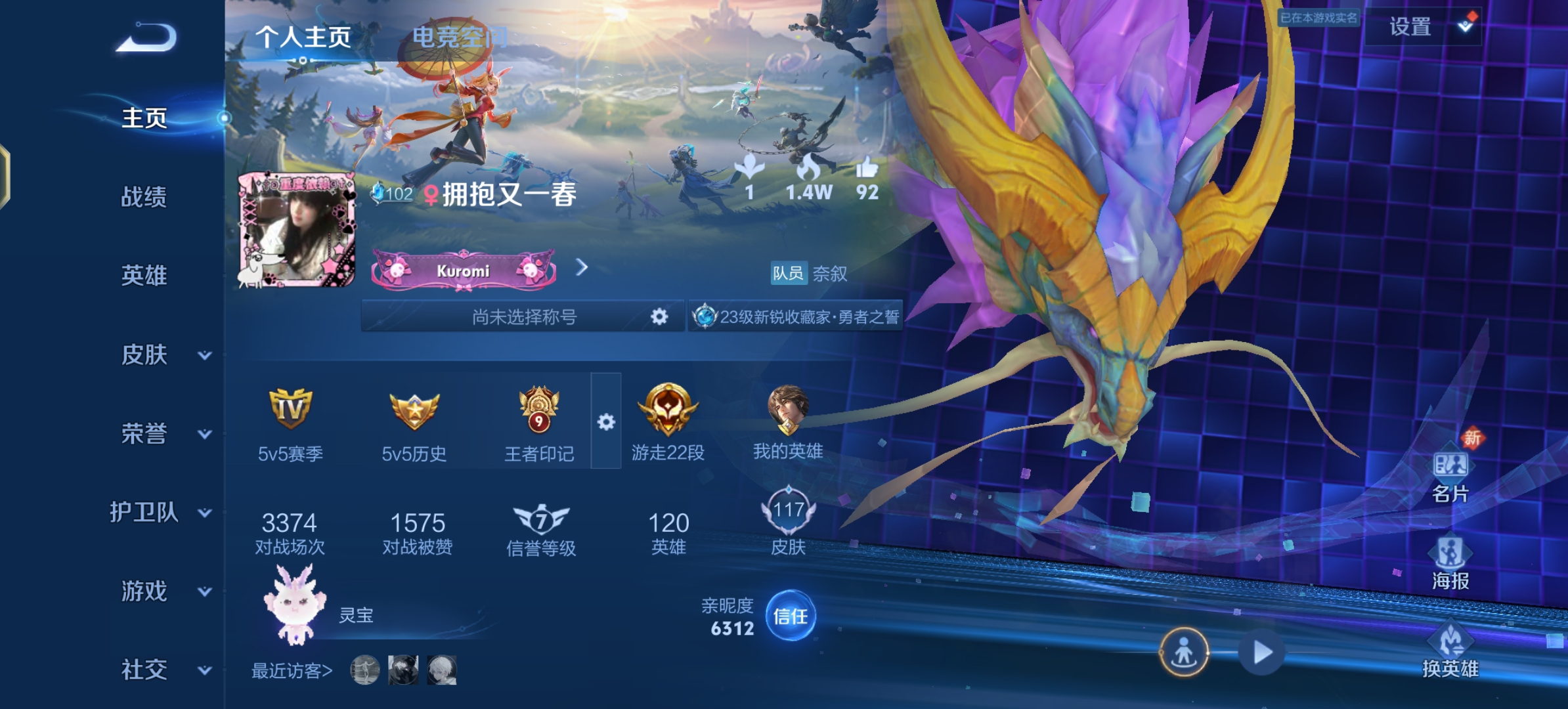 王者荣耀陪玩服务