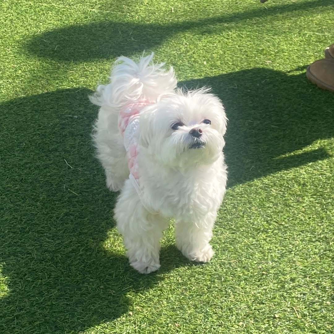 陪玩妹子思念ㅤㅤㅤㅤㅤ的照片1