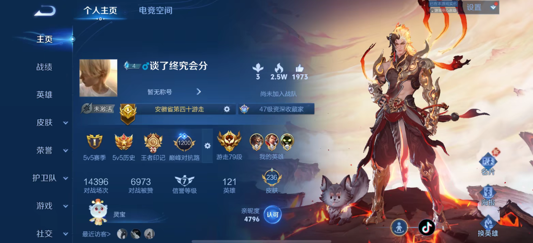 王者荣耀陪玩服务