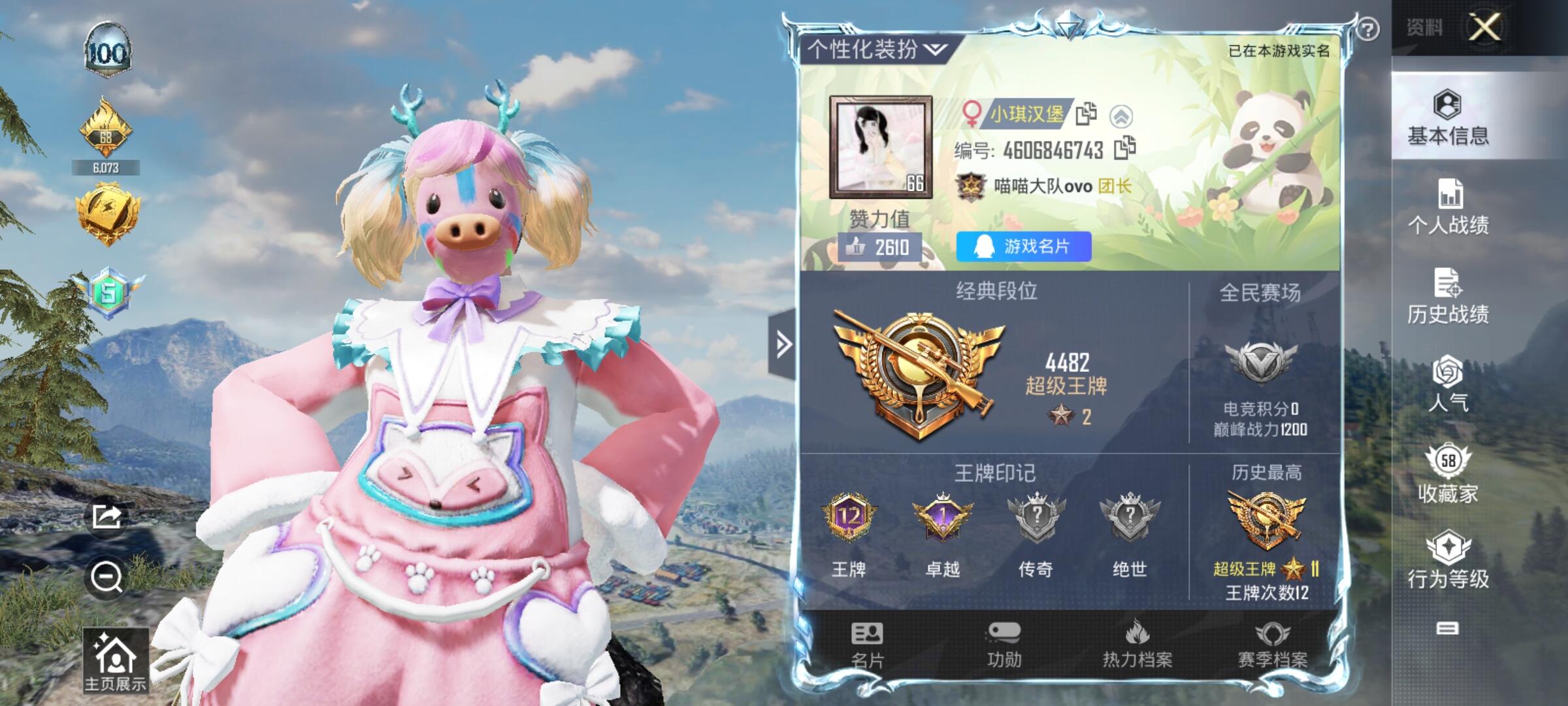 和平精英陪玩服务