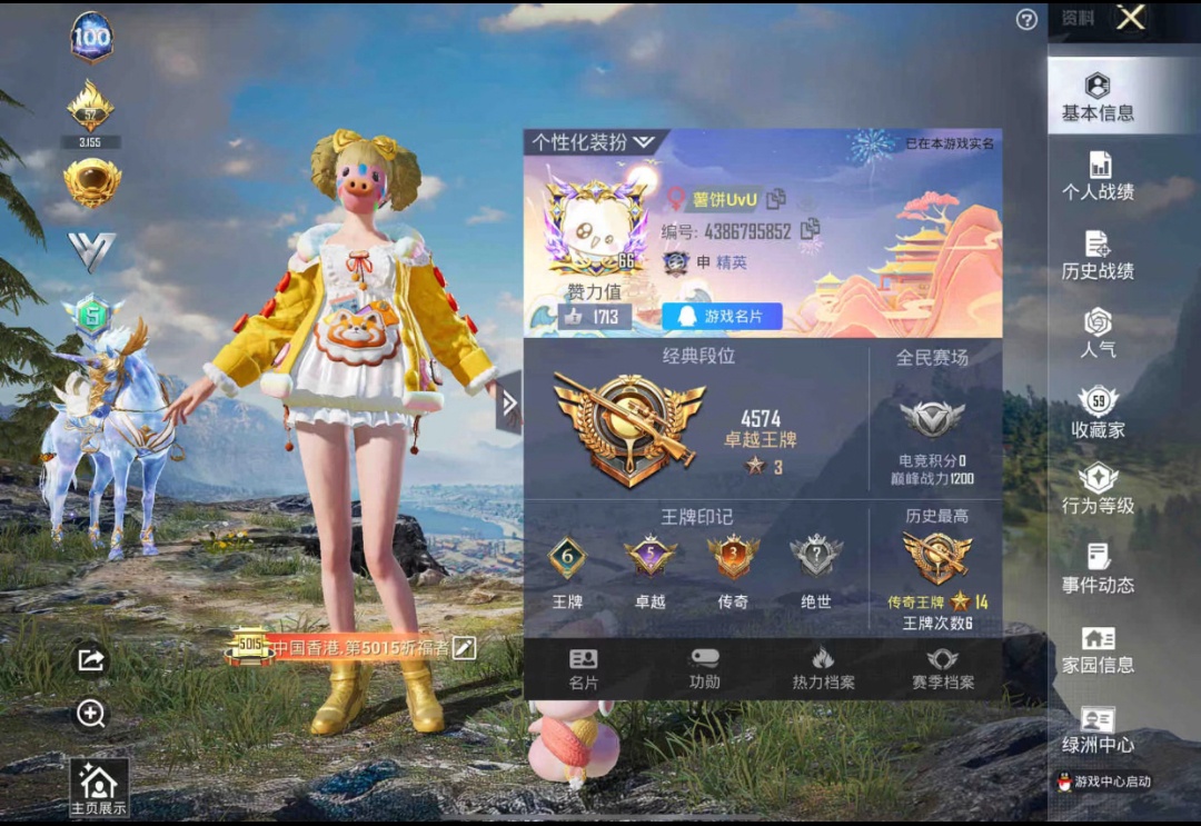 和平精英陪玩服务