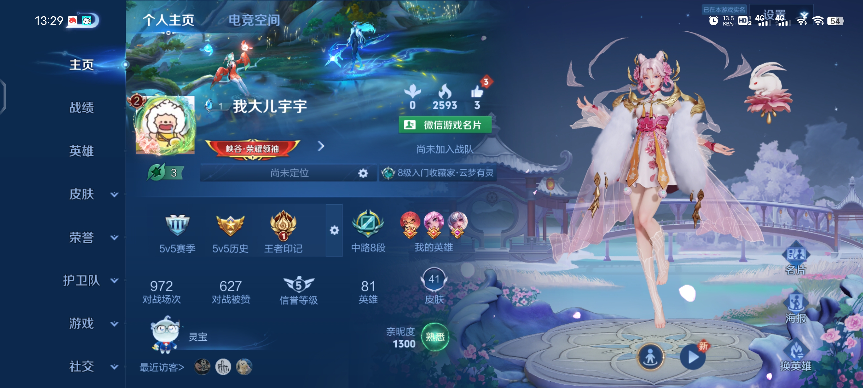 王者荣耀陪玩服务