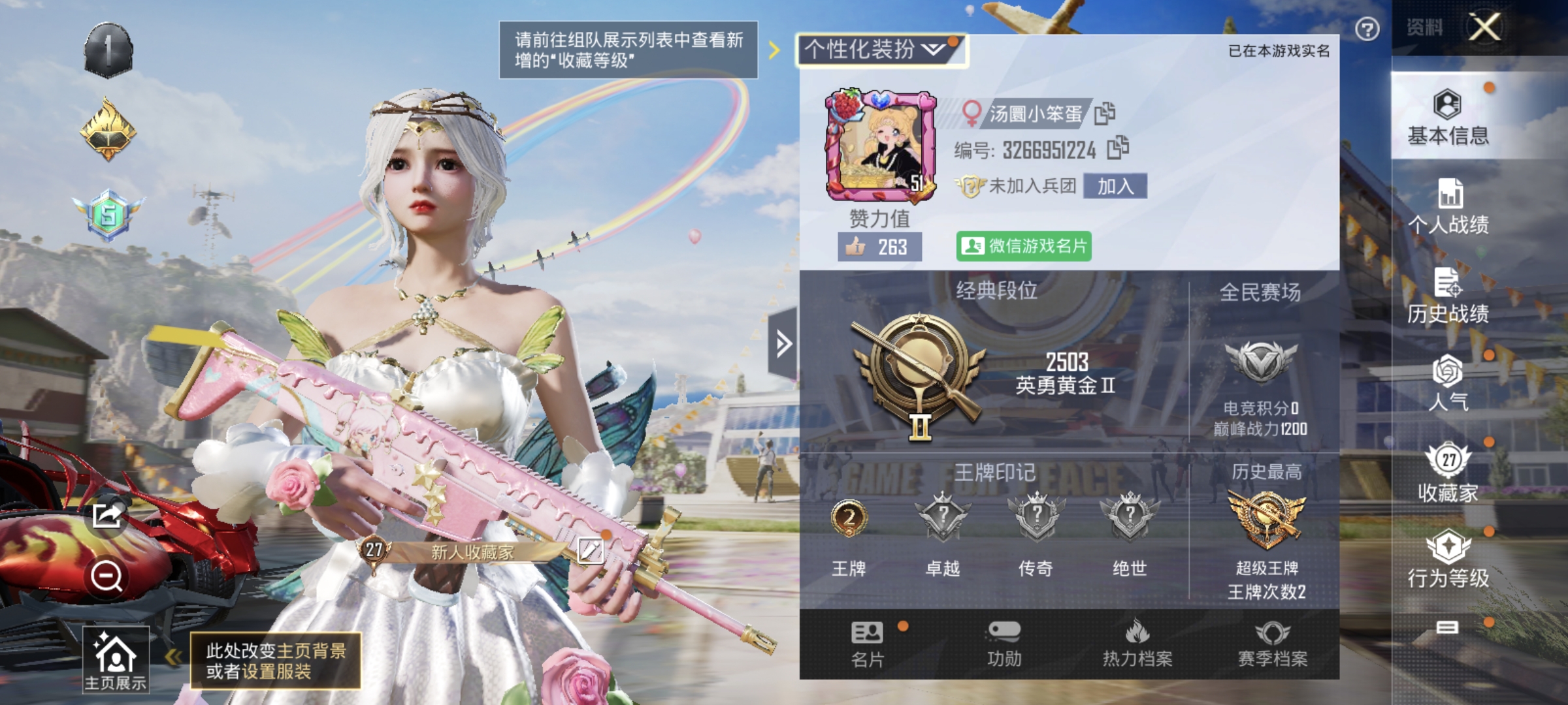 和平精英陪玩服务