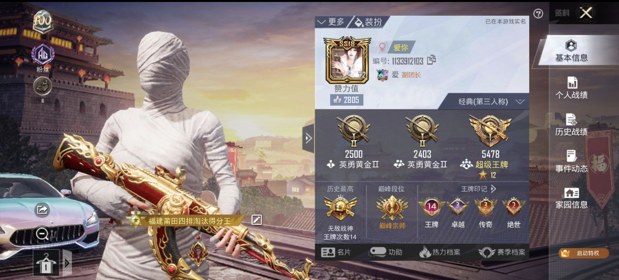 和平精英陪玩服务