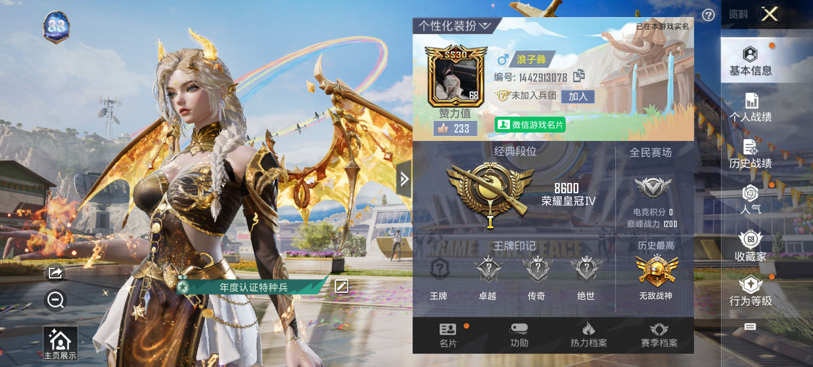 和平精英陪玩服务