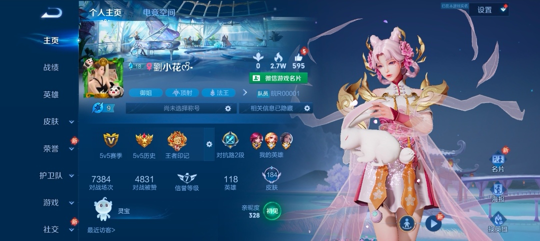 王者荣耀陪玩服务