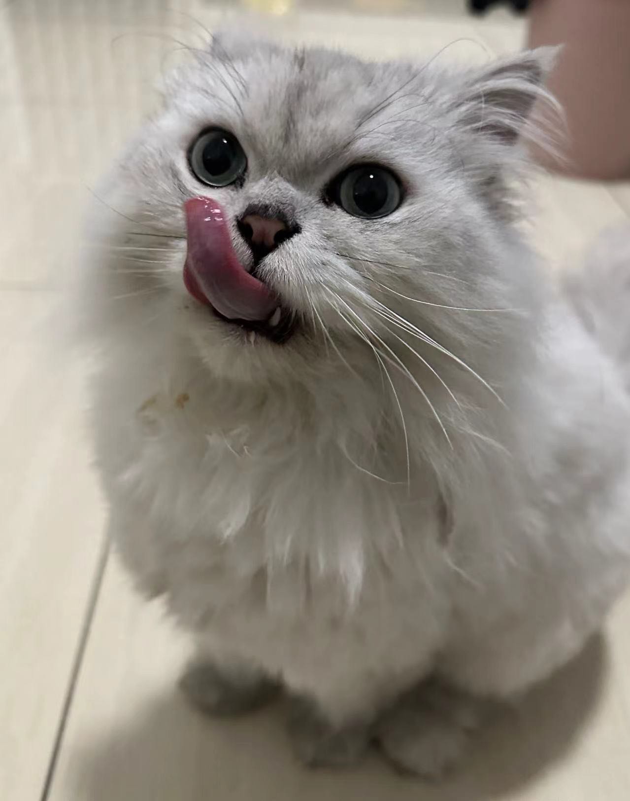 陪玩妹子寒ﻬ的照片1