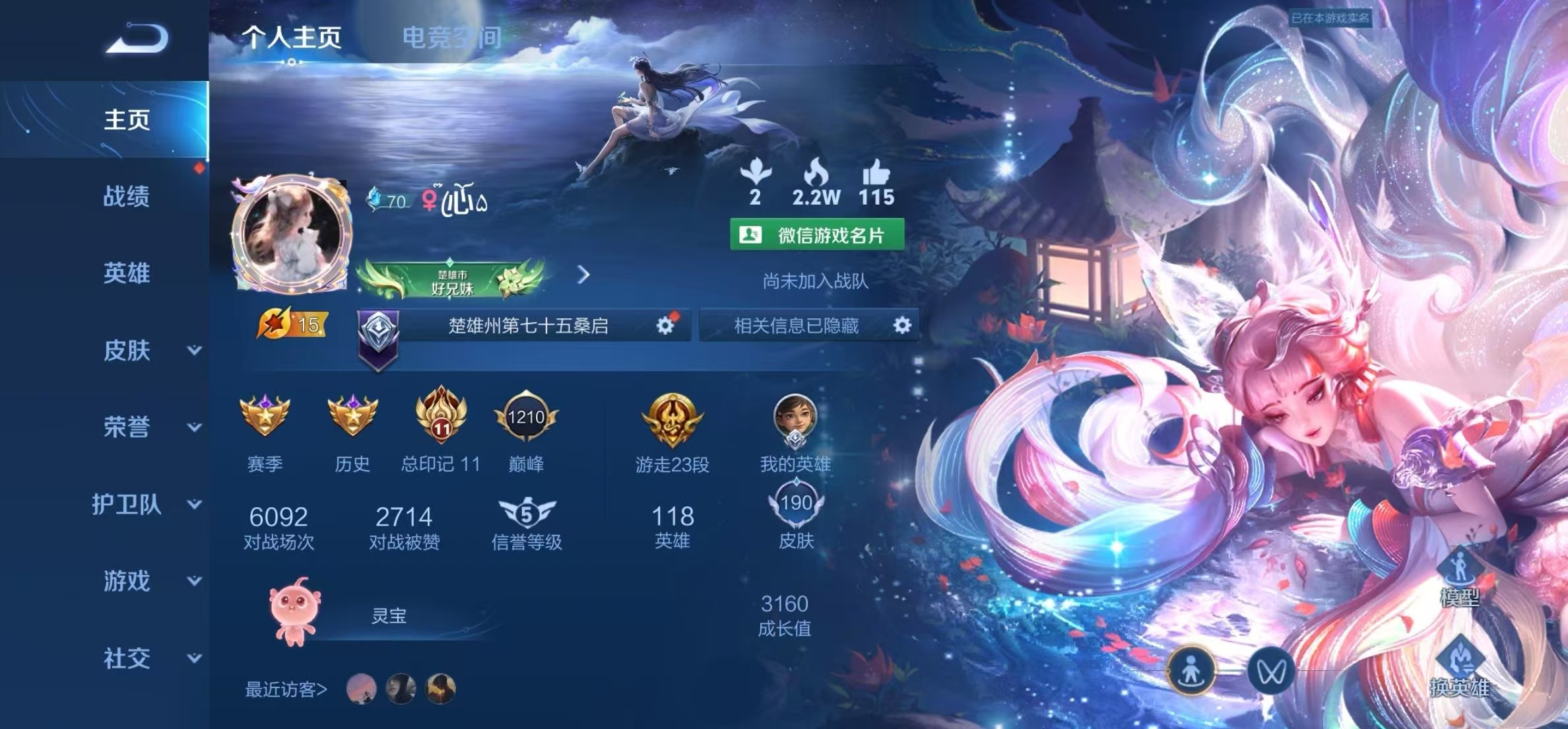 王者荣耀陪玩服务