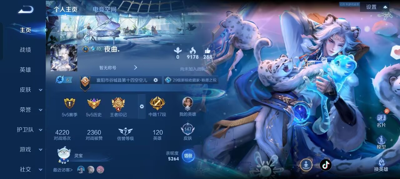 王者荣耀陪玩服务