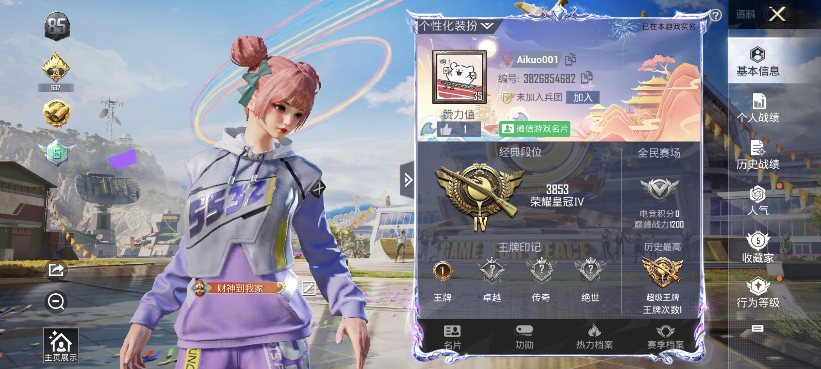 和平精英陪玩服务