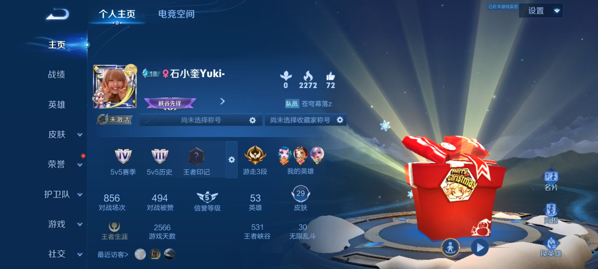 王者荣耀陪玩服务