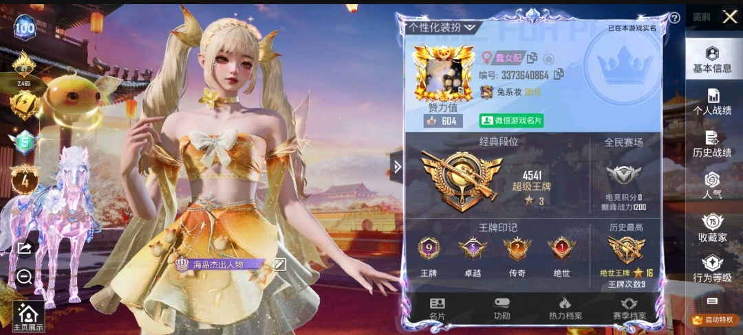 和平精英陪玩服务