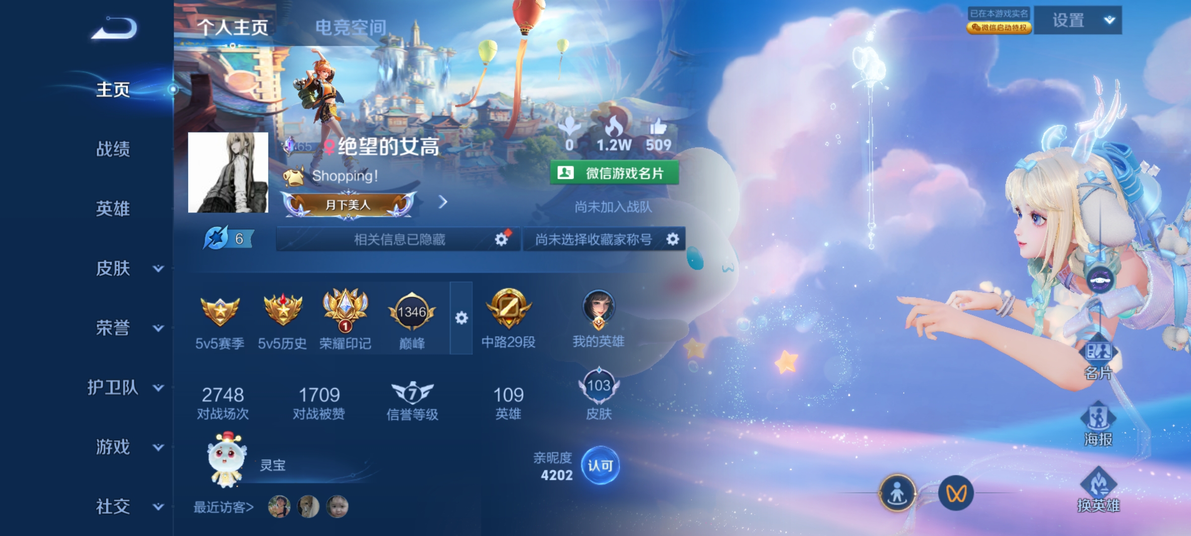 王者荣耀陪玩服务