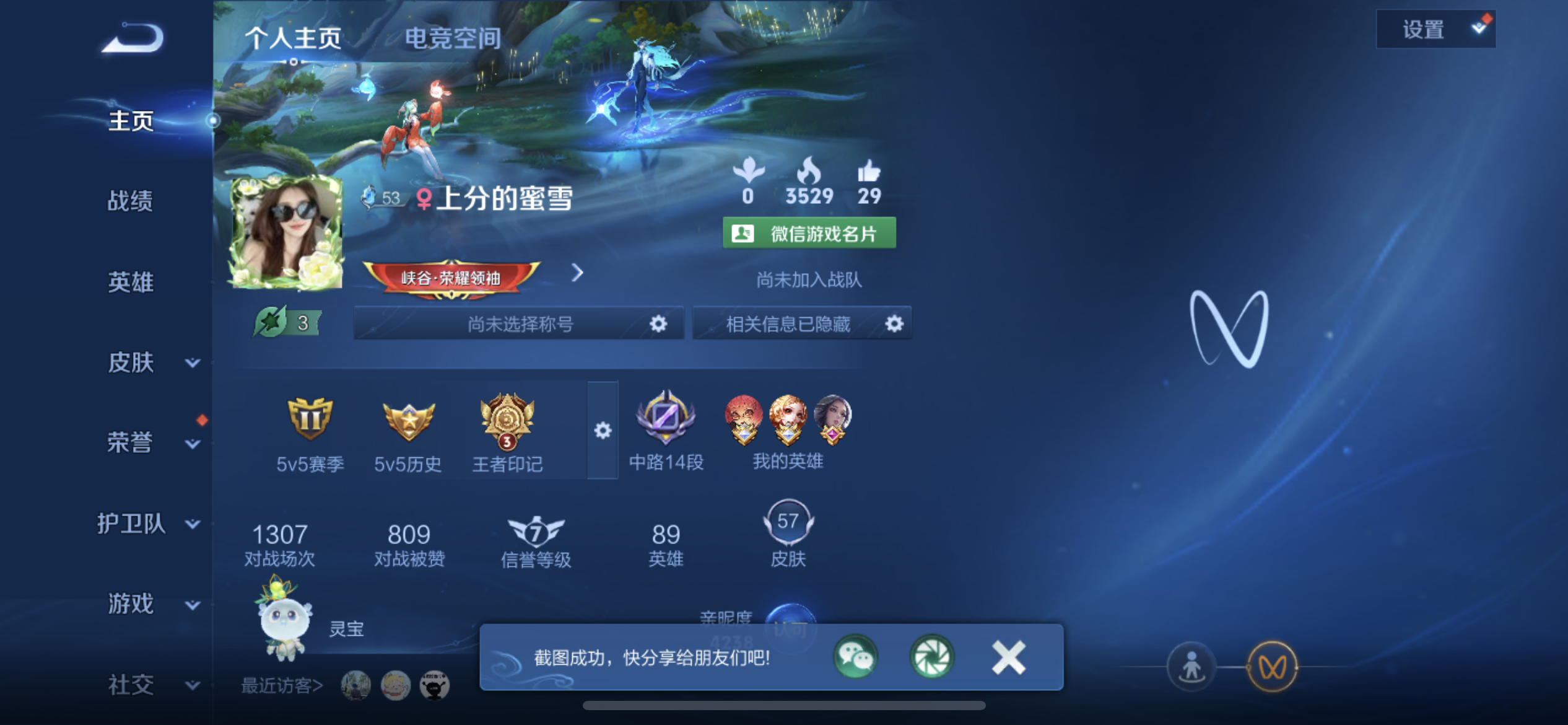王者荣耀陪玩服务