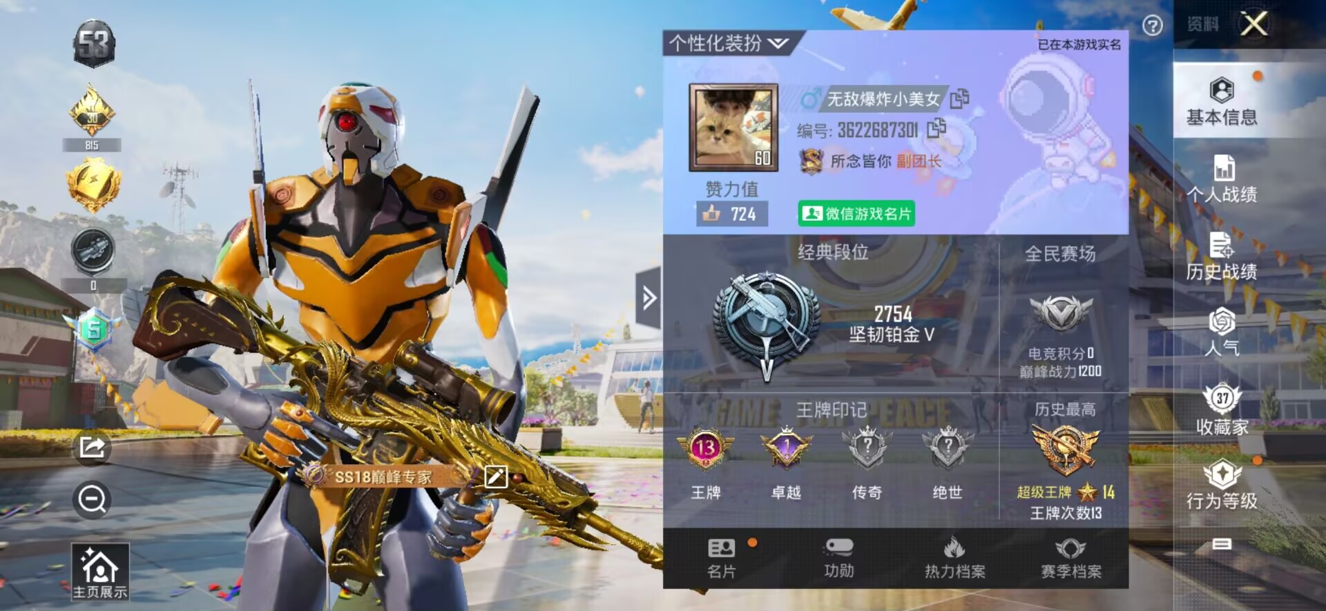 和平精英陪玩服务