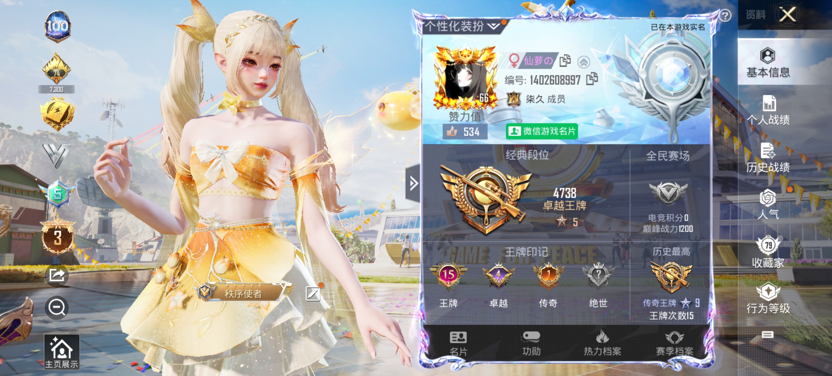 和平精英陪玩服务