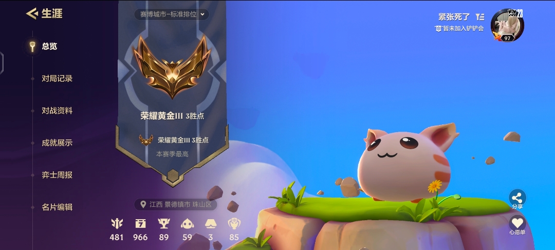 金铲铲之战陪玩服务