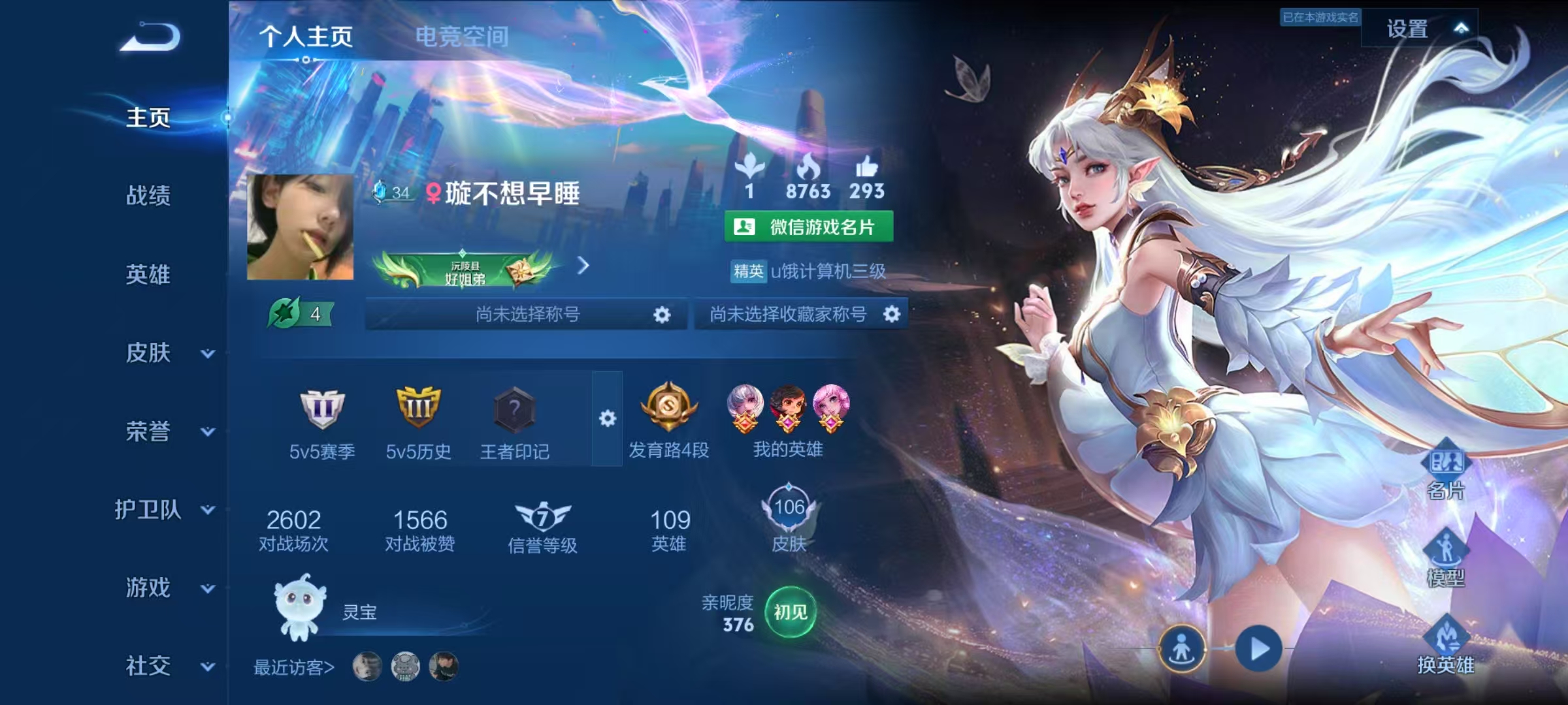 王者荣耀陪玩服务