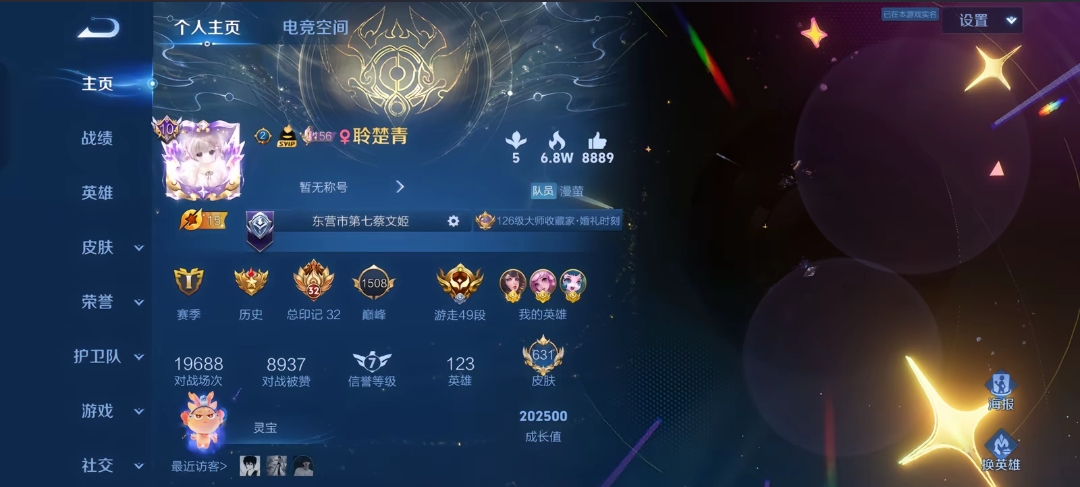 王者荣耀陪玩服务