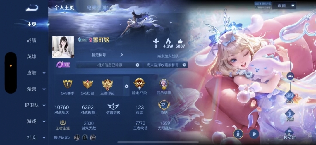 王者荣耀陪玩服务