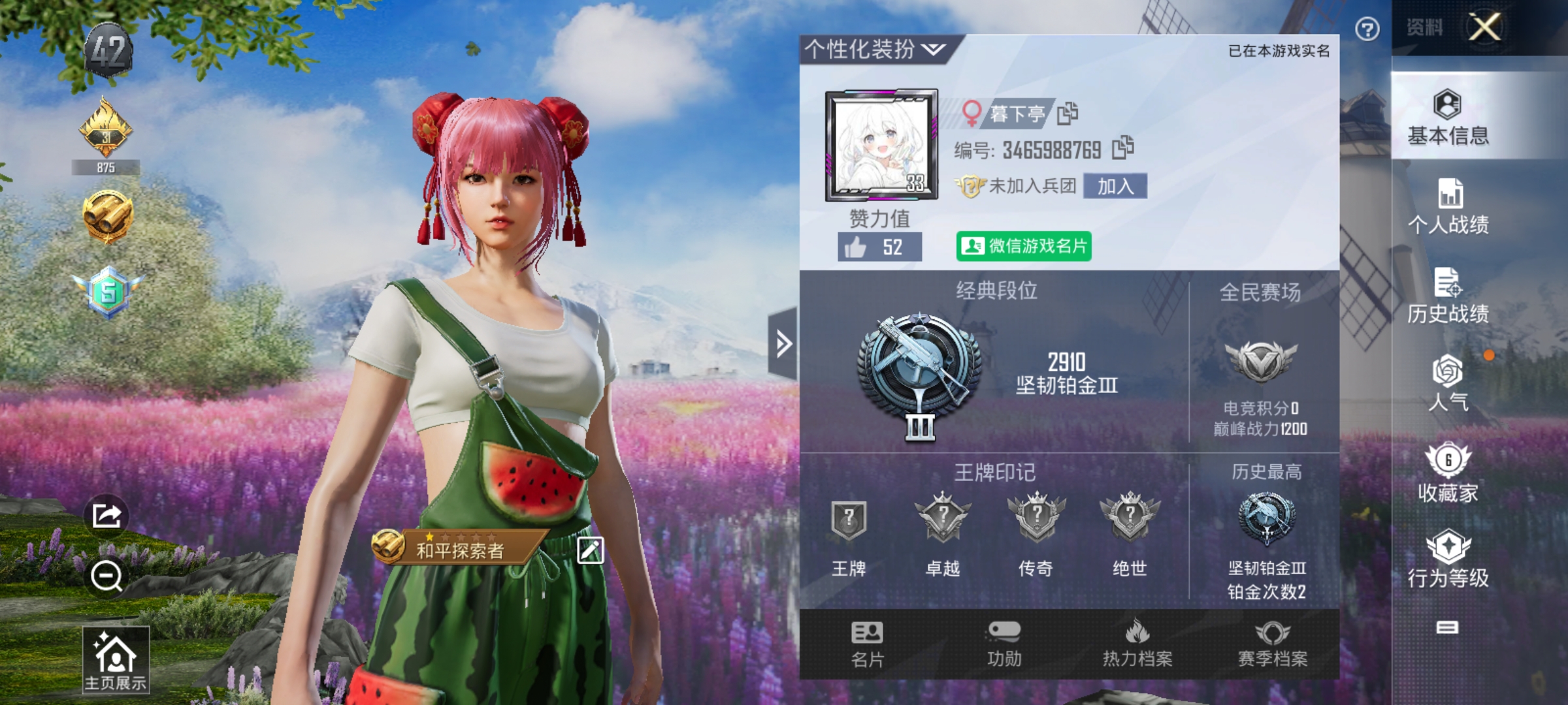 和平精英陪玩服务