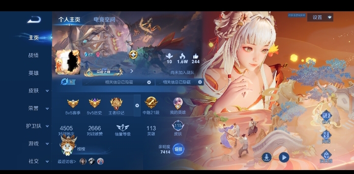 王者荣耀陪玩服务