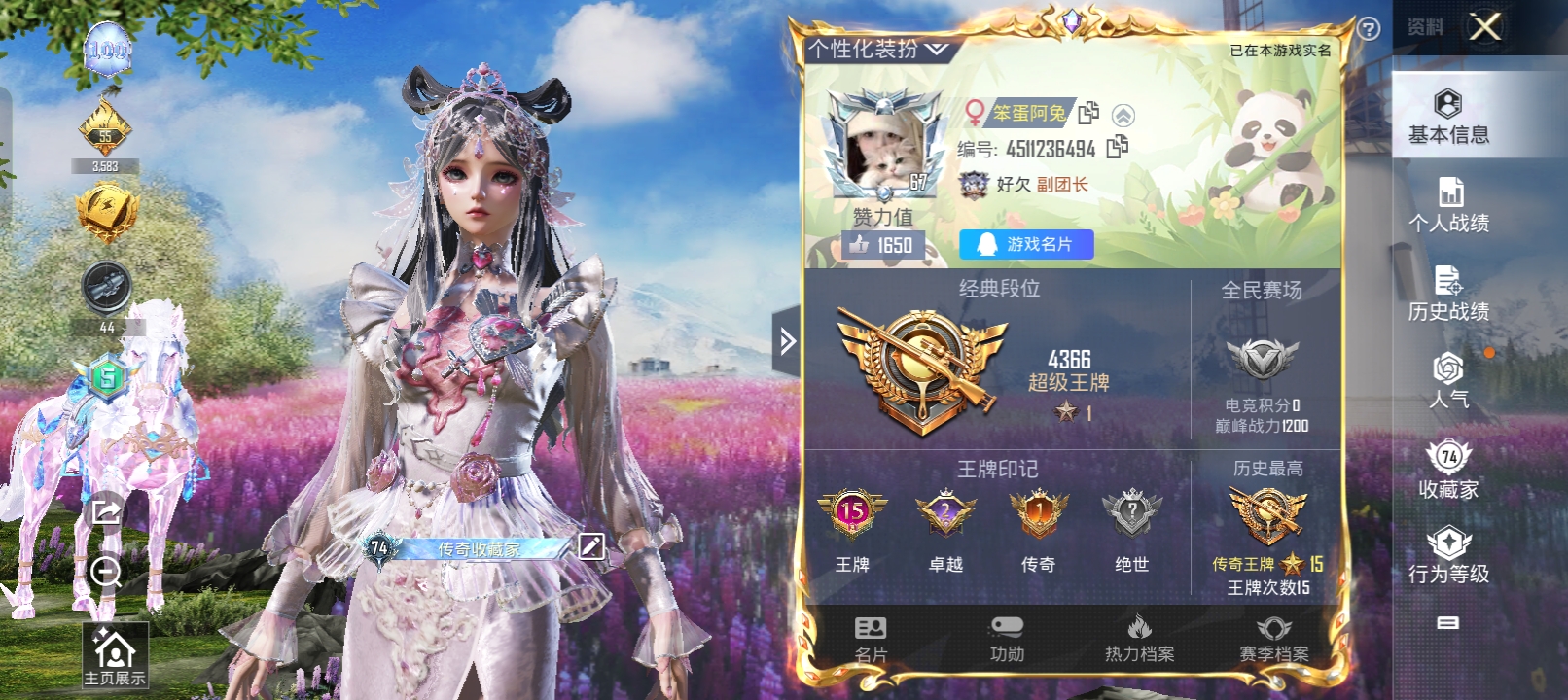 和平精英陪玩服务