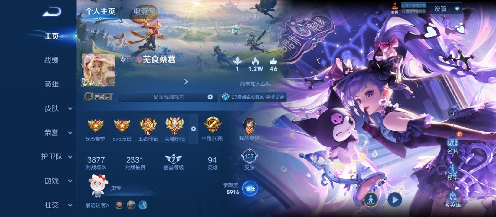 王者荣耀陪玩服务