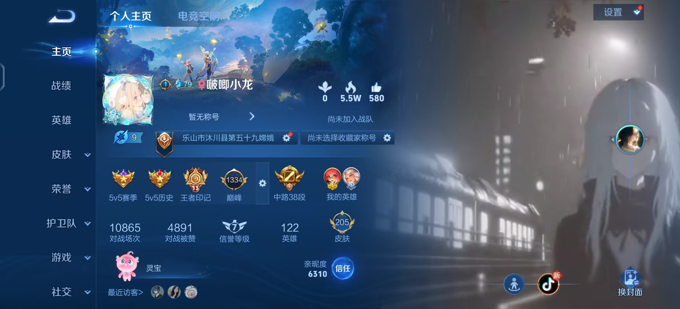 王者荣耀陪玩服务