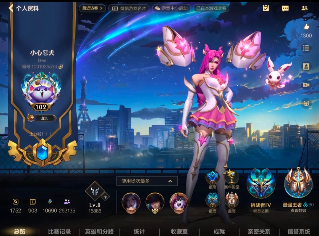 LOL手游陪玩服务