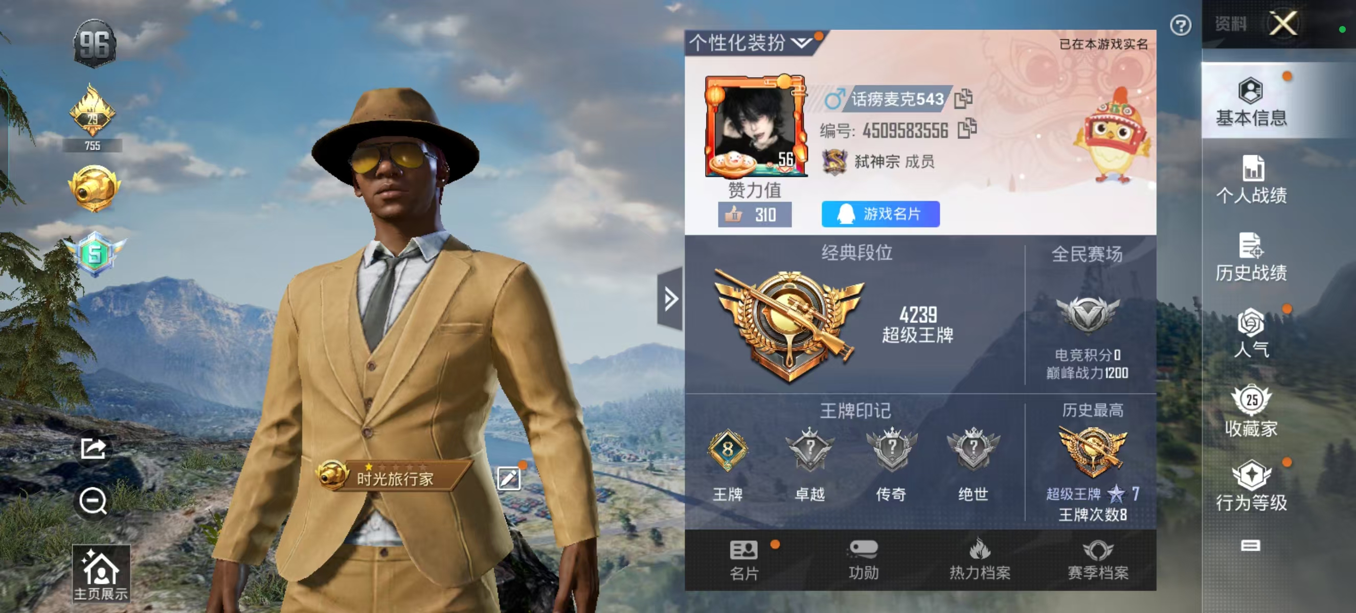 和平精英陪玩服务