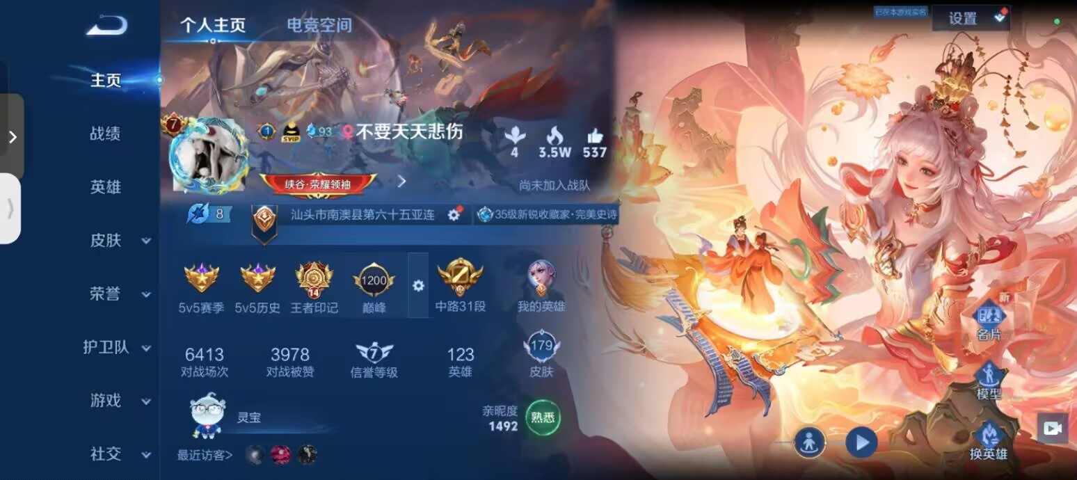 王者荣耀陪玩服务