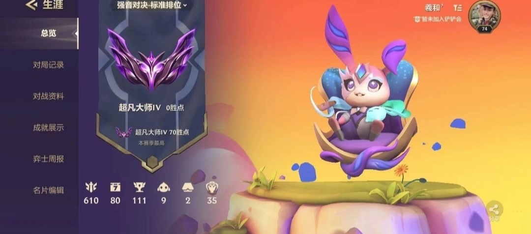 金铲铲之战陪玩服务
