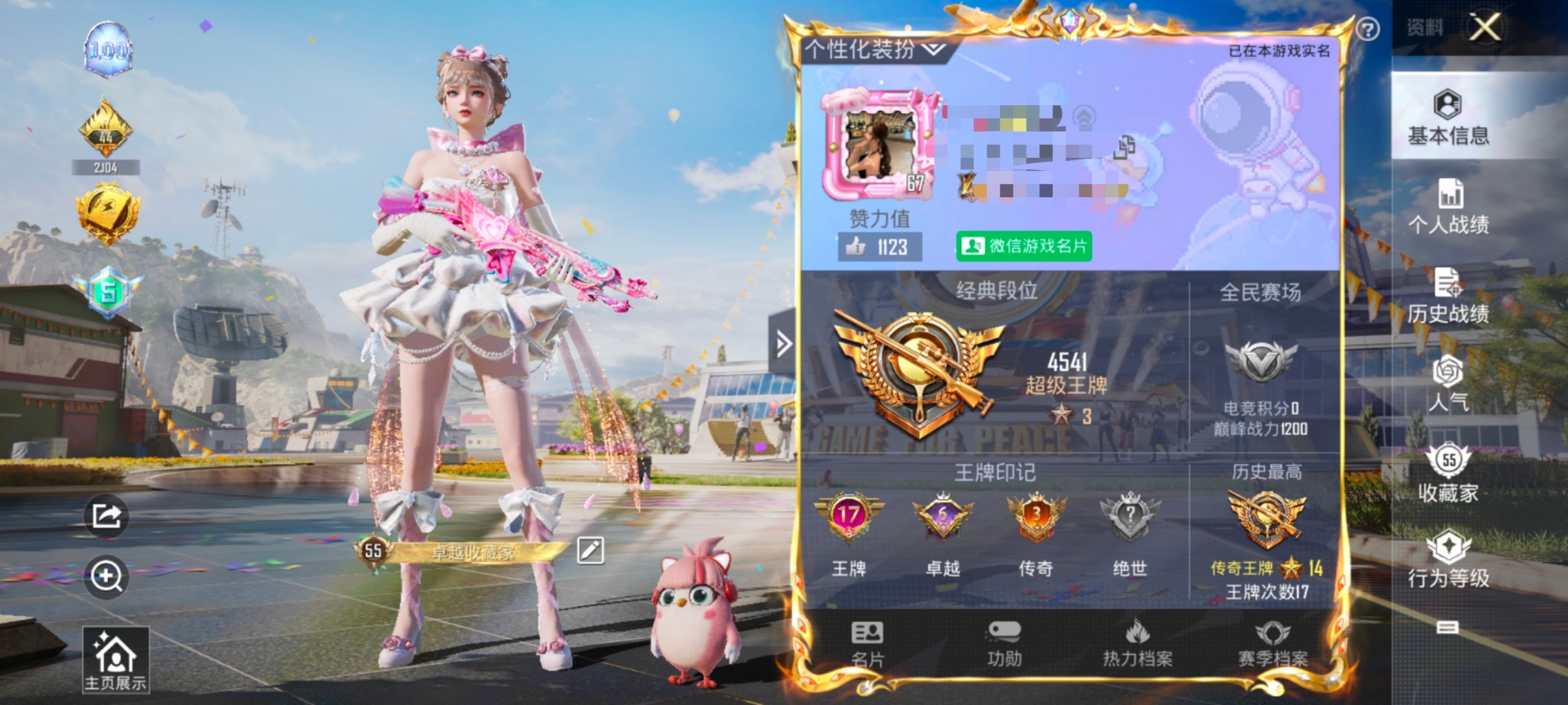 和平精英陪玩服务