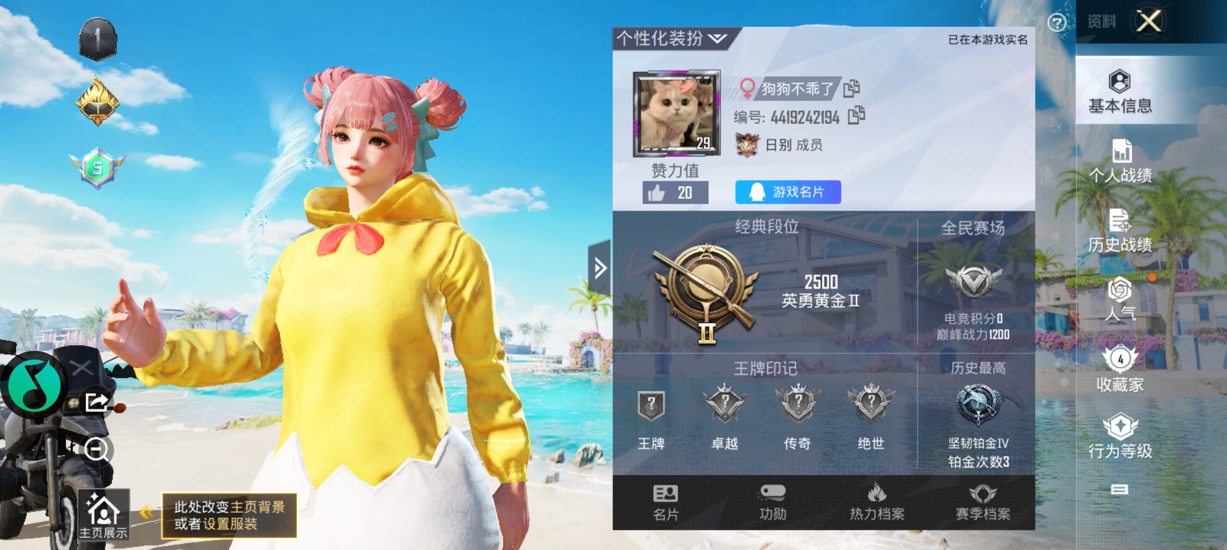和平精英陪玩服务